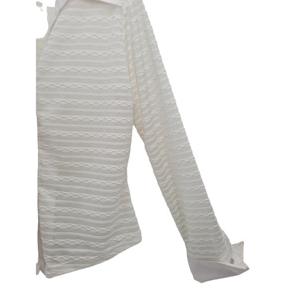 Vintage Jaipur White Sheer Striped Long Sleeve V-Neck Stretchy Button Up‎ Blouse - Picture 9 of 12